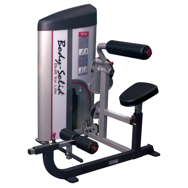 Body-Solid Pro Clubline 2 AB and Back Machine